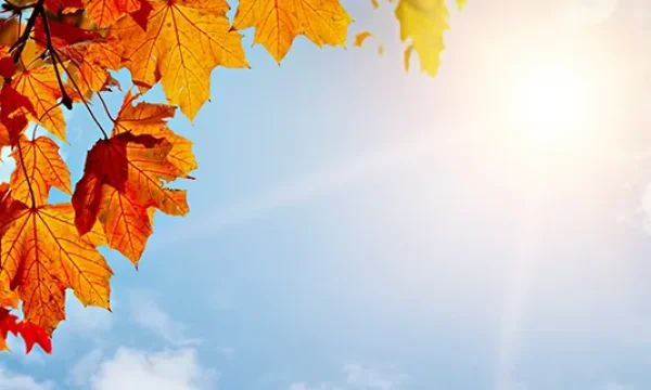 20160929_Sommer-und-Herbst